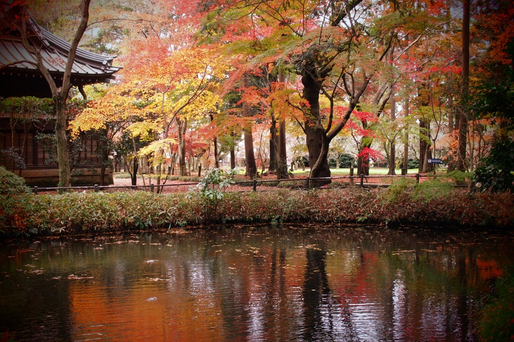 秋の平林寺