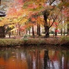 秋の平林寺