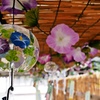 風鈴祭りの寸景（Ⅱ）
