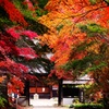 秋の安行興禅院
