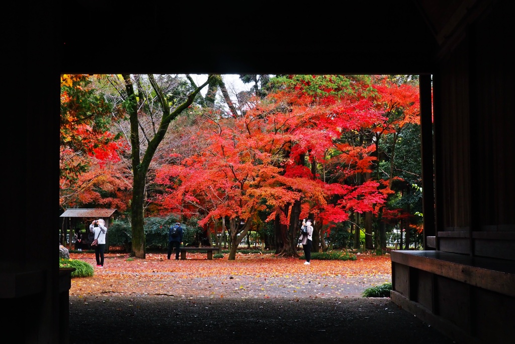 額縁の中に秋が