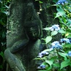 野仏に山紫陽花