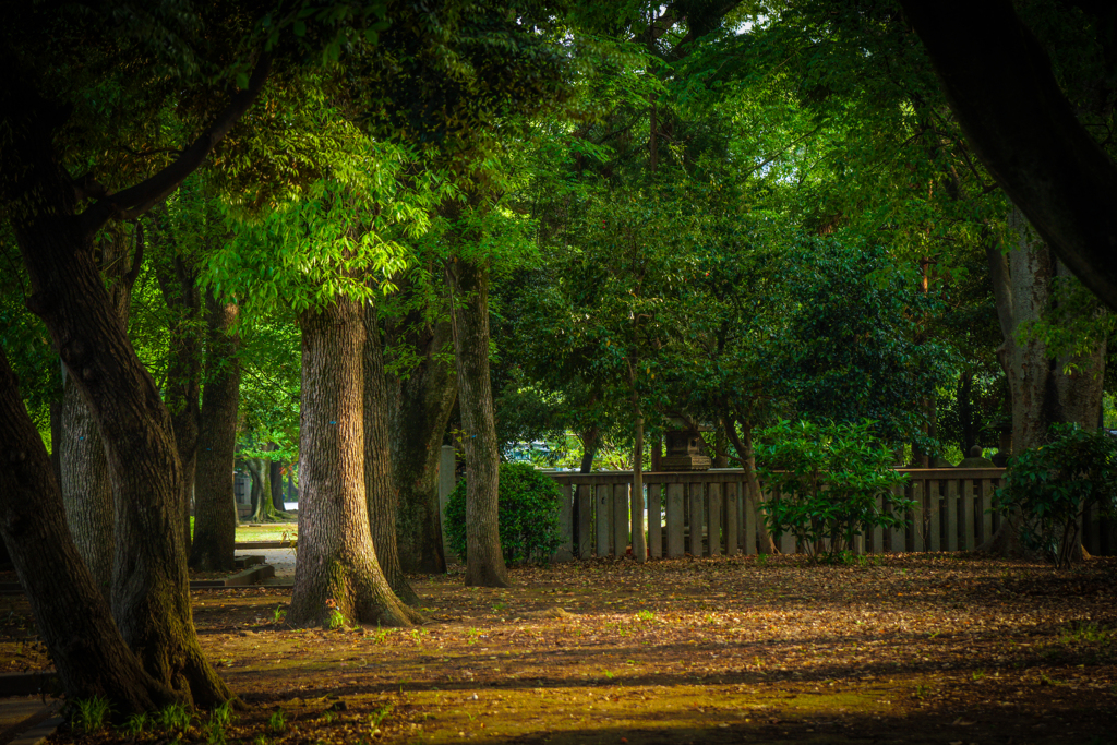 上野公園