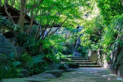 丈山苑