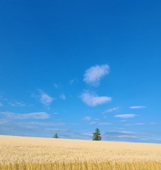 夏の終わり