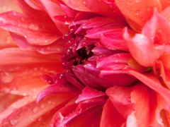 B4B31B9F-6419-40FF-85D6-D92A6EB46367
