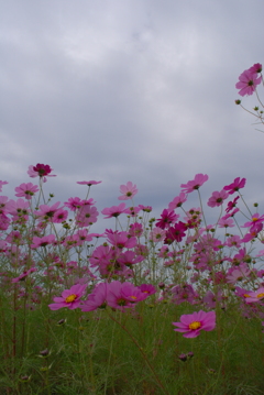 F4D1D874-76CF-4E65-948F-81417F035F29