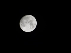 76D44A32-8626-44D6-BA62-93BE60E7F90D