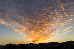 20250930日の出_8513