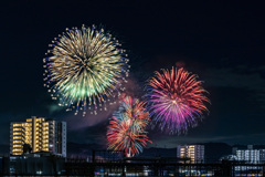 20250823花火_8370s