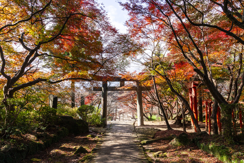 20111205竈門神社の紅葉_7152