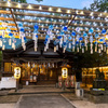 20230721神社境内夏の夜景_7178_1