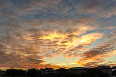 20251002日の出_8540