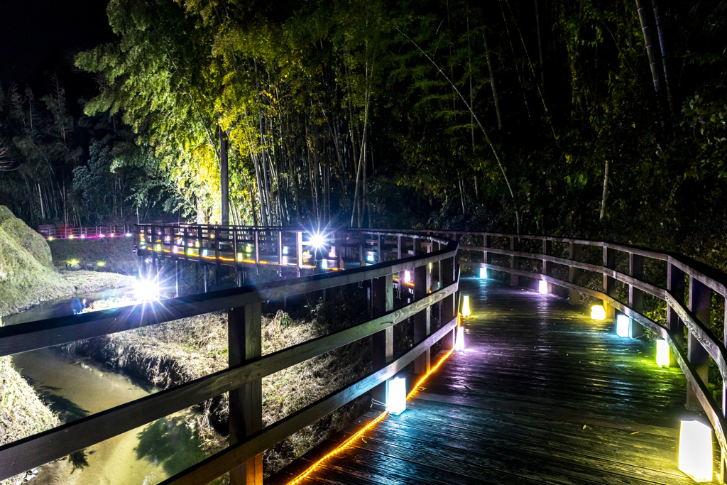 20251115裂田溝ライトアップ_8815