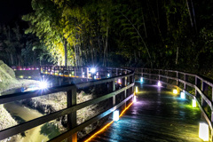 20251115裂田溝ライトアップ_8815