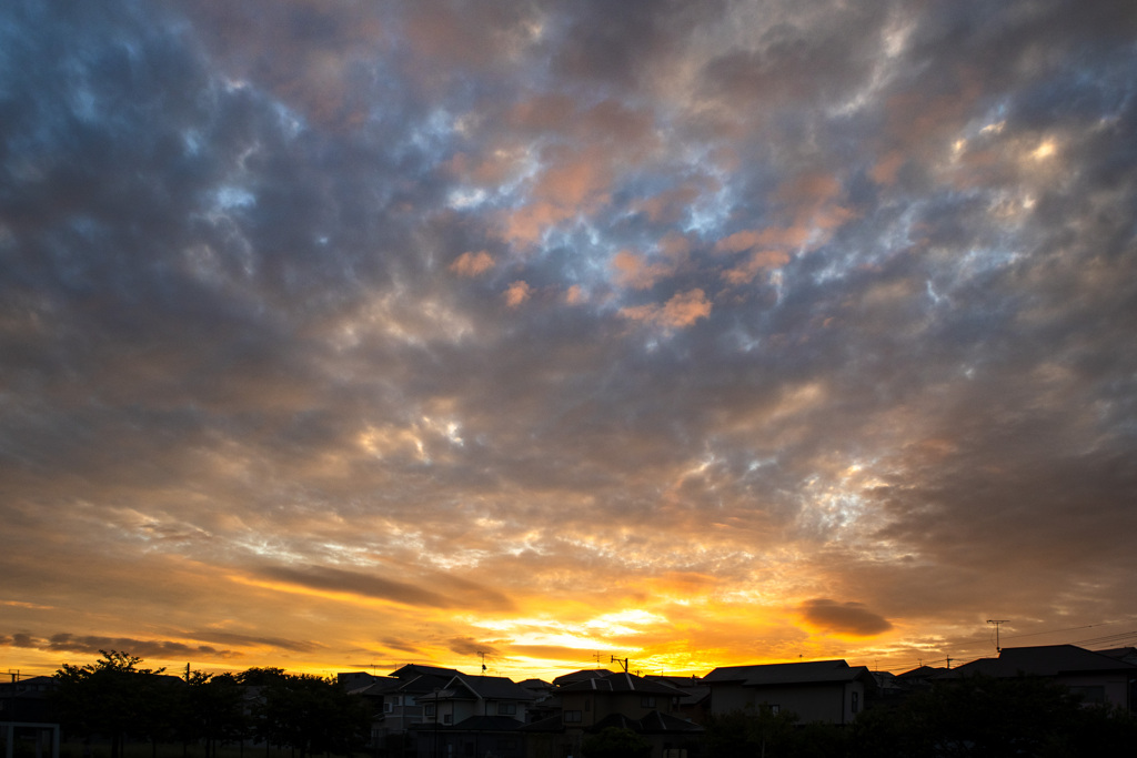 20251005日の出_8566