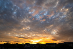 20251005日の出_8566