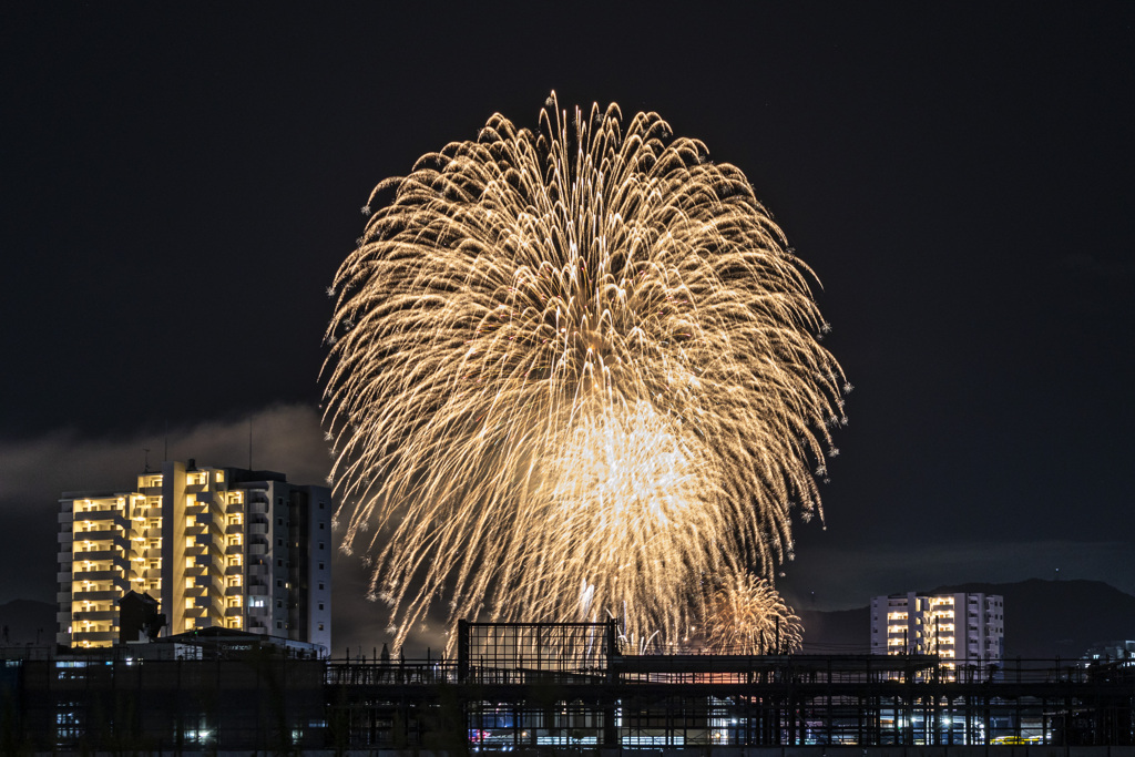 20250823花火_8398