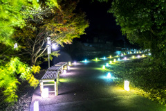 20251115裂田溝ライトアップ_8800