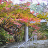 20051126竈門神社の紅葉_0030