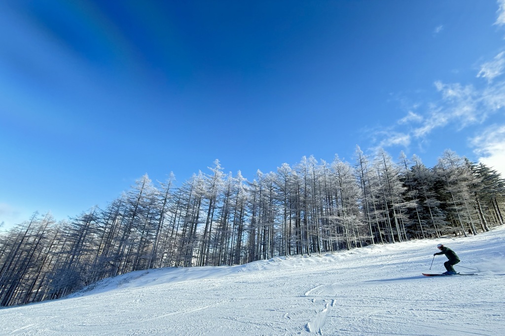 スキー場の風景