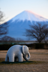 今朝の公園