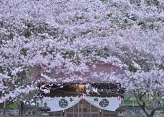 八坂神社