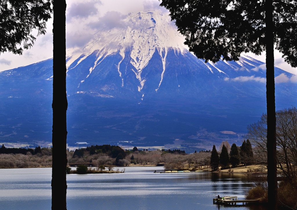 湖の風景