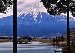 湖の風景