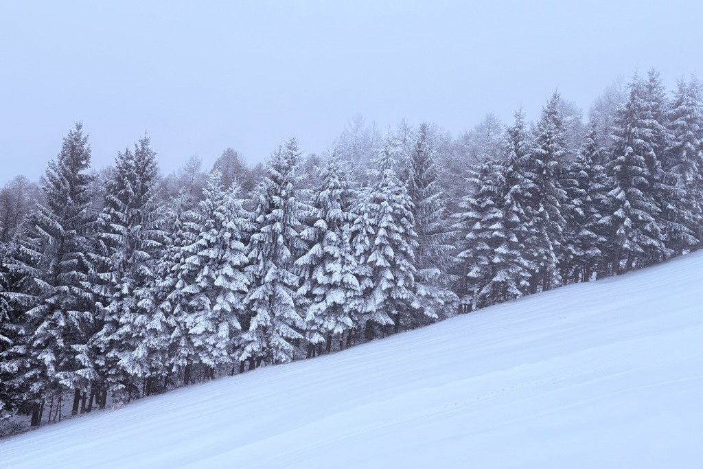 スキー場の風景