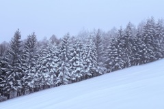 スキー場の風景