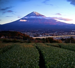 富士朝景
