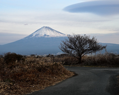 冬枯れの候