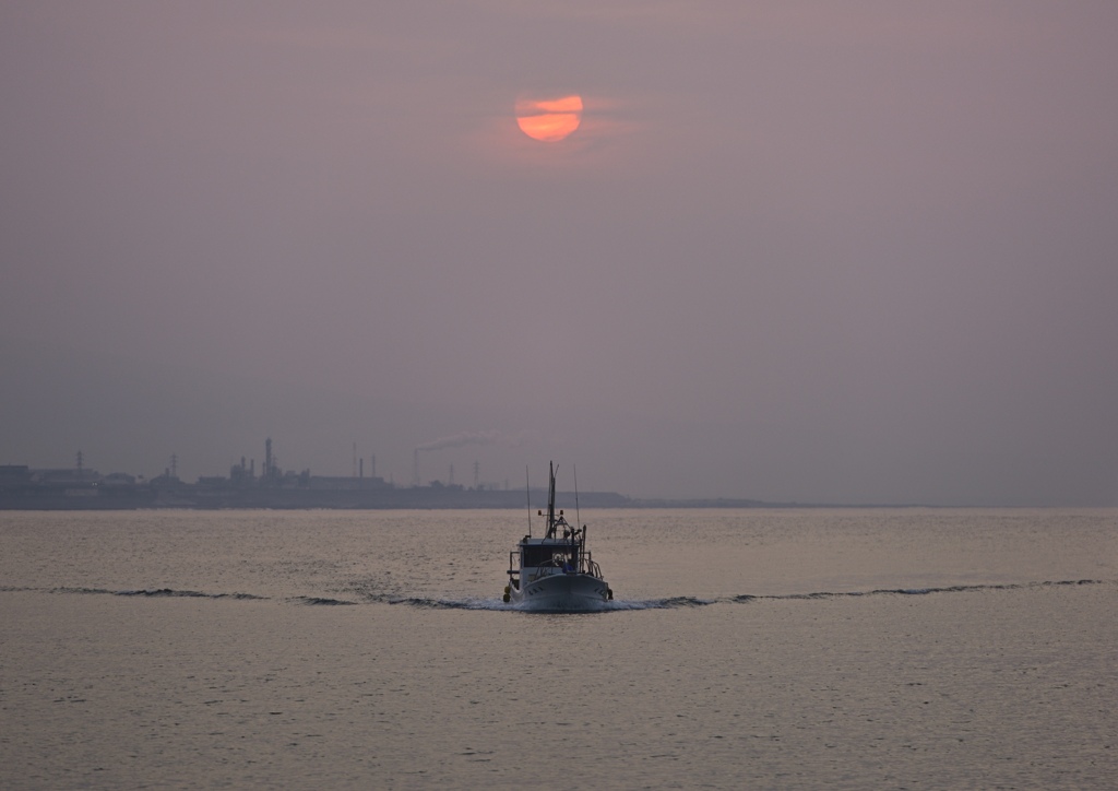 帰港