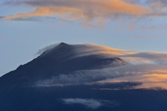富士朝景
