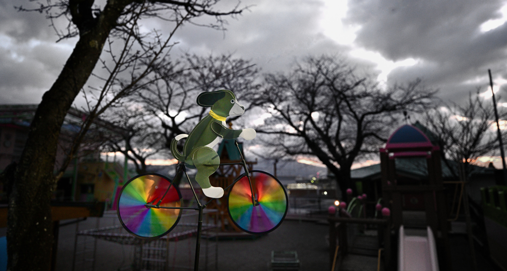 自転車わんちゃん