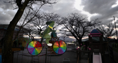 自転車わんちゃん
