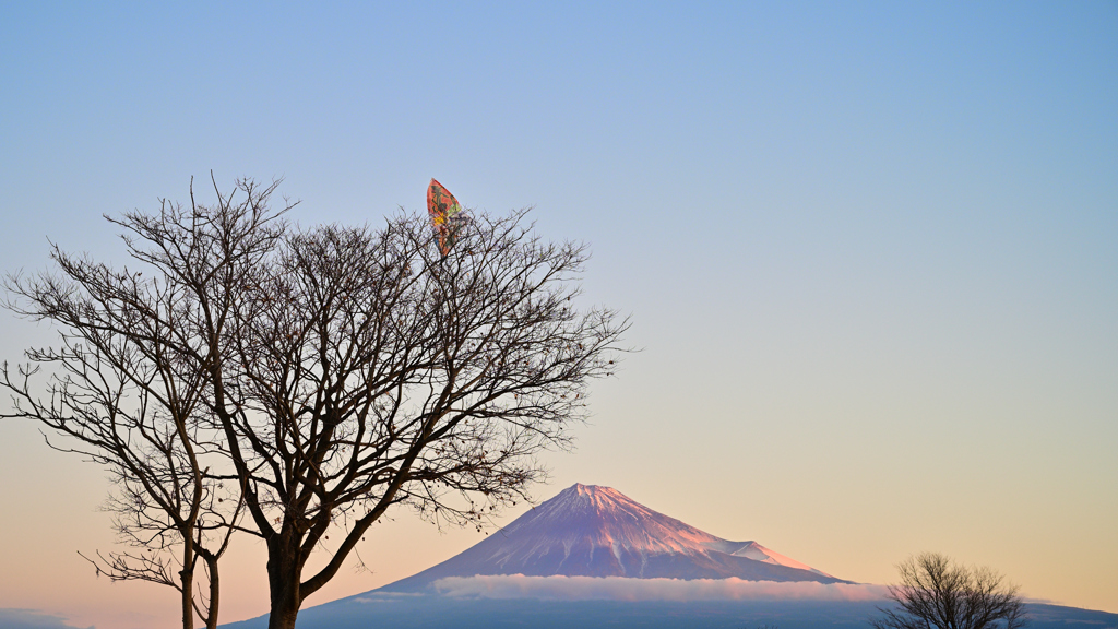 今朝の富士