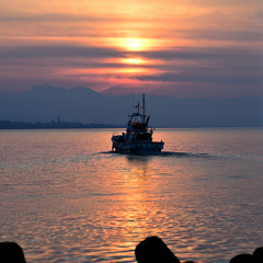 今朝の海