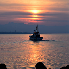 今朝の海