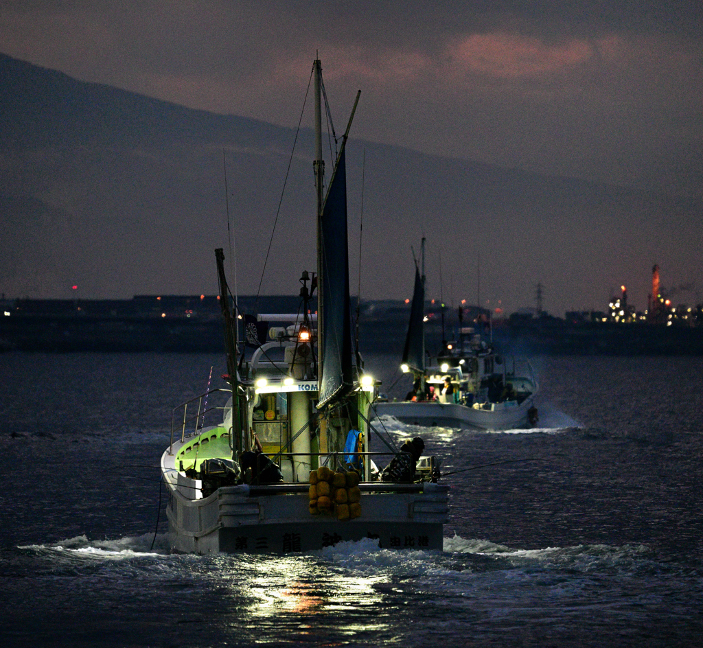 今朝の海