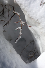 雪解け02