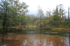 田代池