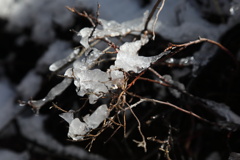 雪解け01