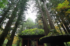 戸隠神社奥社にて02