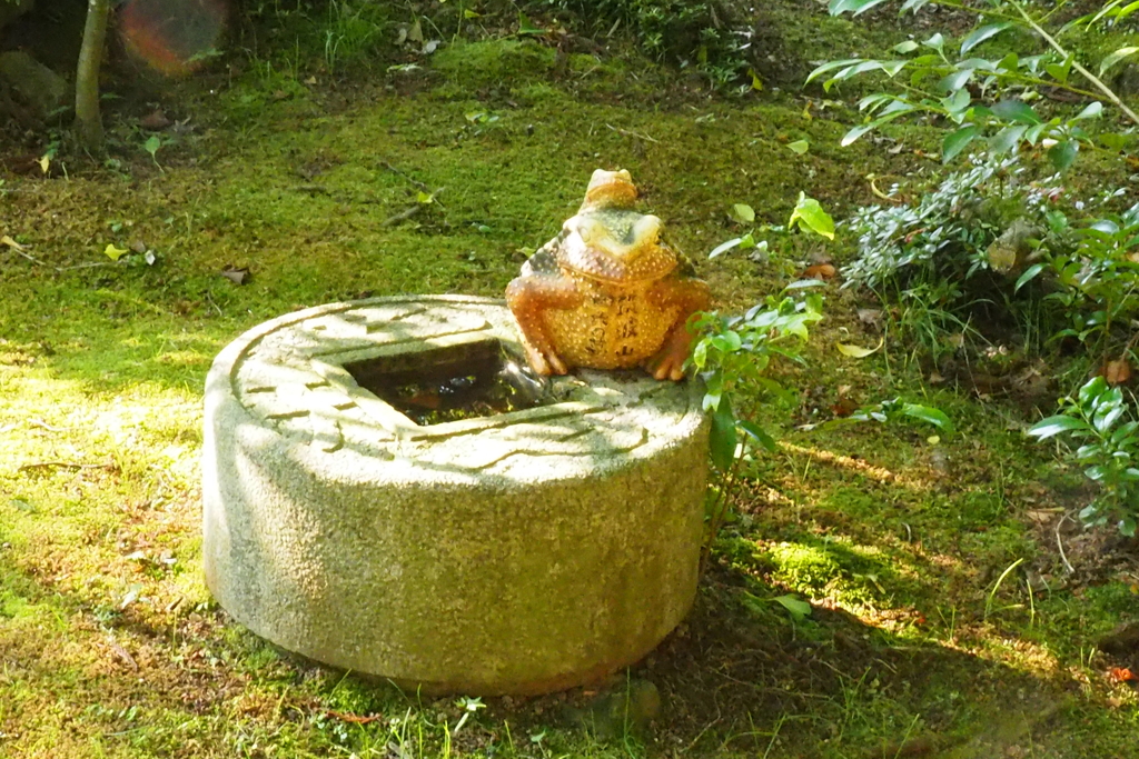 筑波山神社にて