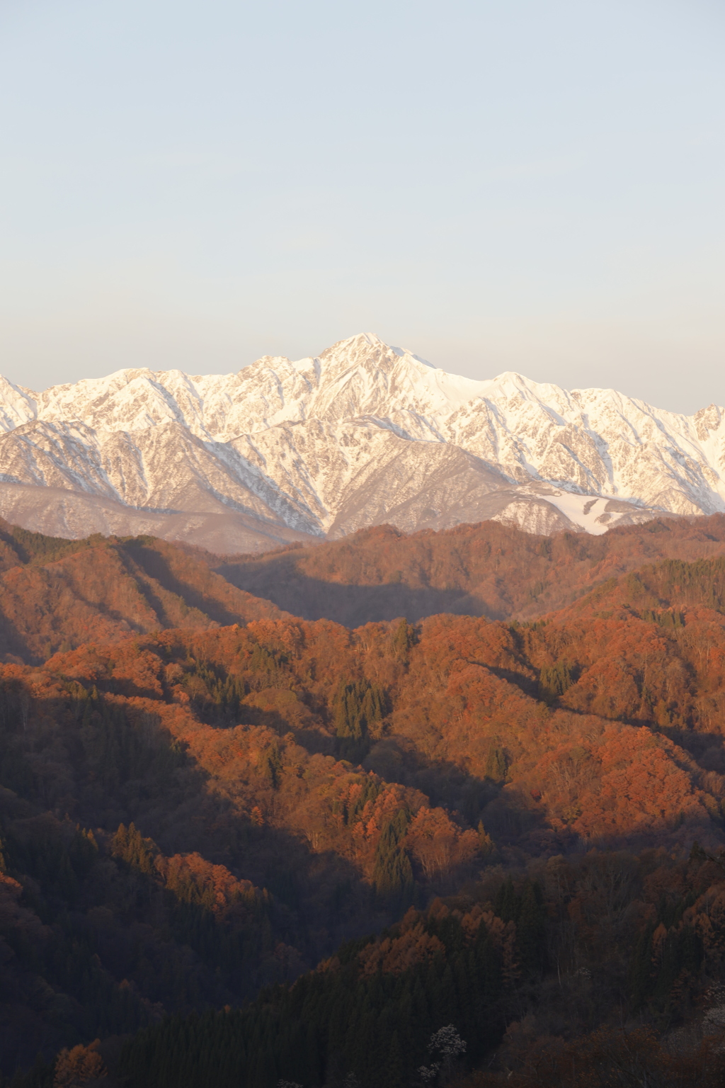 初冬の五竜岳