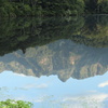 盛夏の鏡池（その７）
