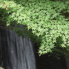 もみじ湖にて05