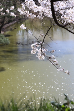 キラキラ